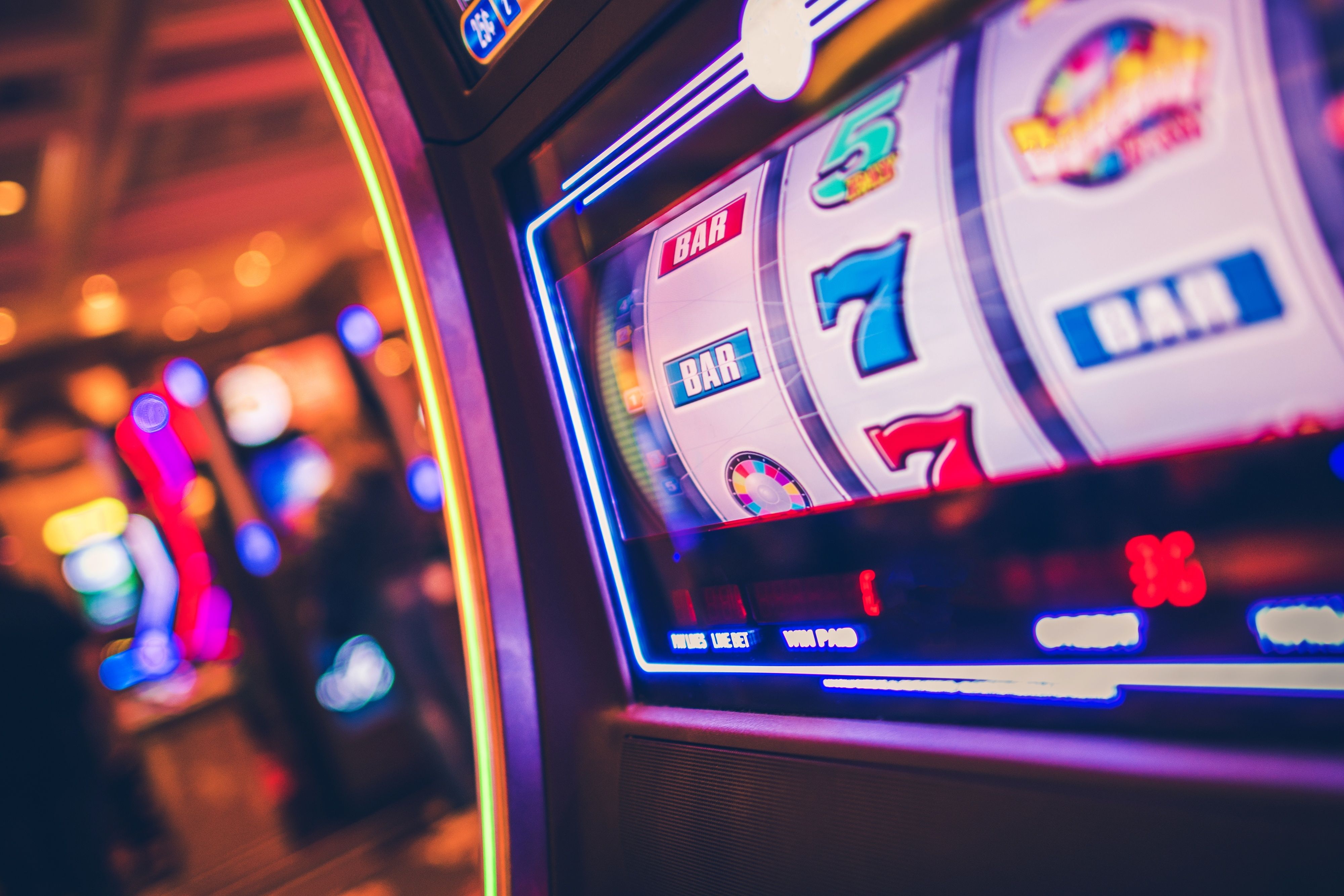 panda slot panda slot Terms & Conditions